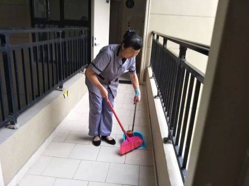 蘭州城關區(qū)專業(yè)家政保潔服務 地毯清洗與家庭保潔質量保證